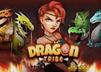 Dragon Tribe нолимит